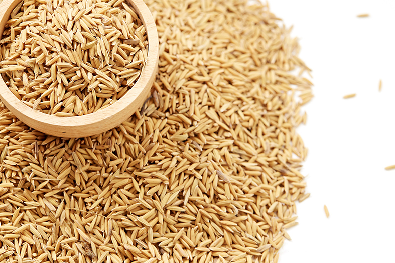 شلتوک (سبوس) برنج؛ گنجینهای از خواص شگفتانگیز